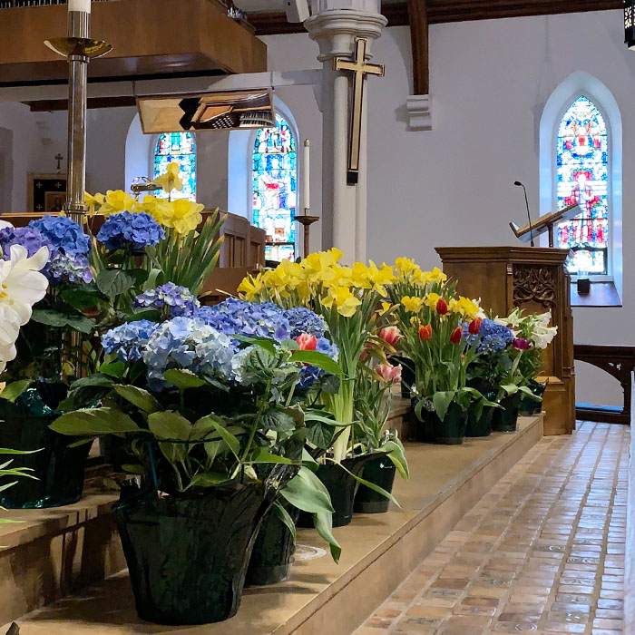 Easter Flowers at the Altar